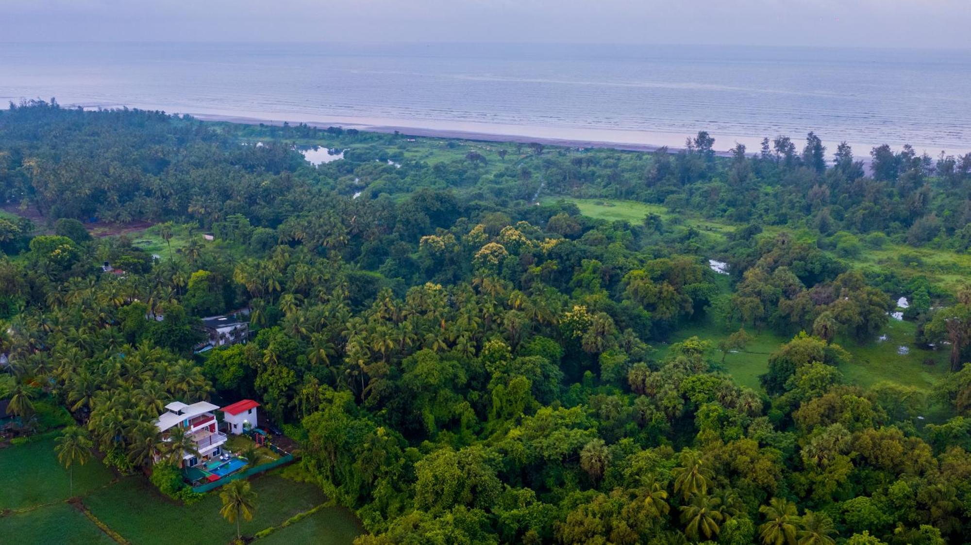Spicy Mango Villa Elegano - Luxurious Villa Near Nagaon Beach, Alibag Ngoại thất bức ảnh